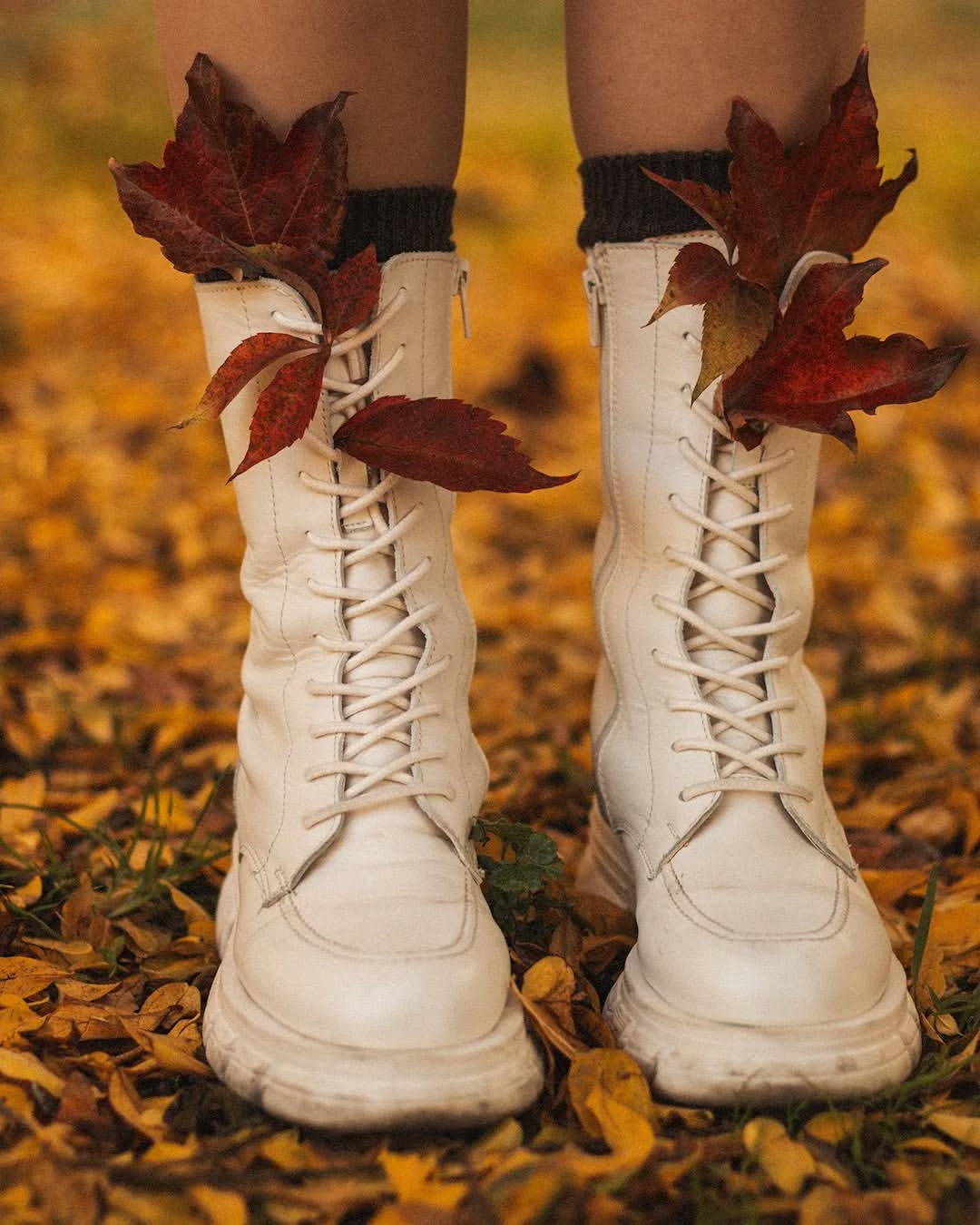 Meditative moment in autumn light