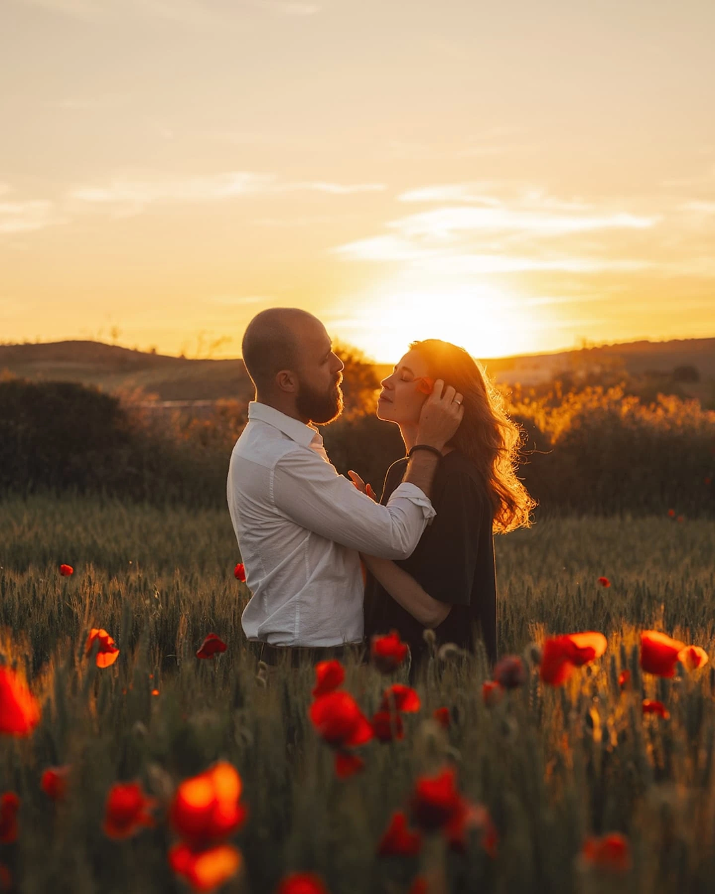 An Ocean of Red: Poppy Fields in Granada