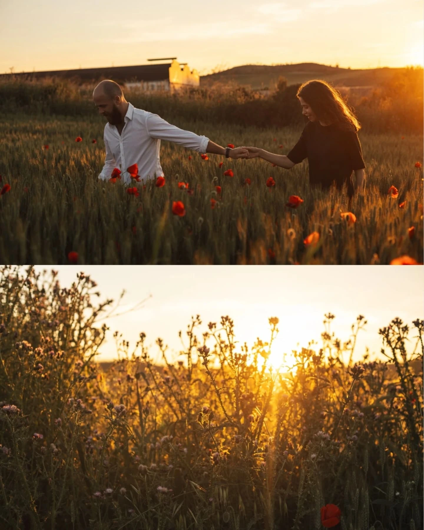 Рука нежно касается цветка мака