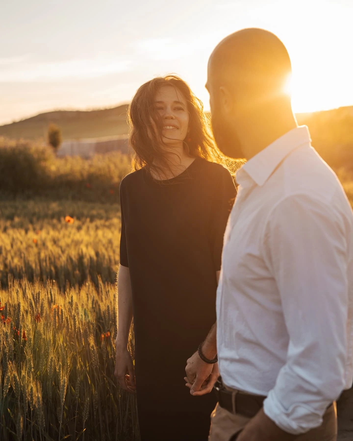 Low angle shot inside a poppy field