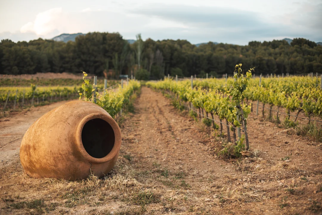 A rustic terracotta amphora rests in a sun-drenched Andalusian vineyard during the golden hour, showcasing the charming cottagecore vibe of the Costa del Sol countryside.