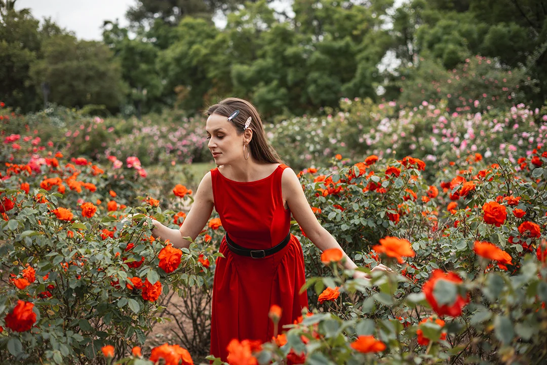 An elegant individual portrait of a woman in a red dress wandering through a vibrant spring bloom of orange roses in a lush garden in Granada.
