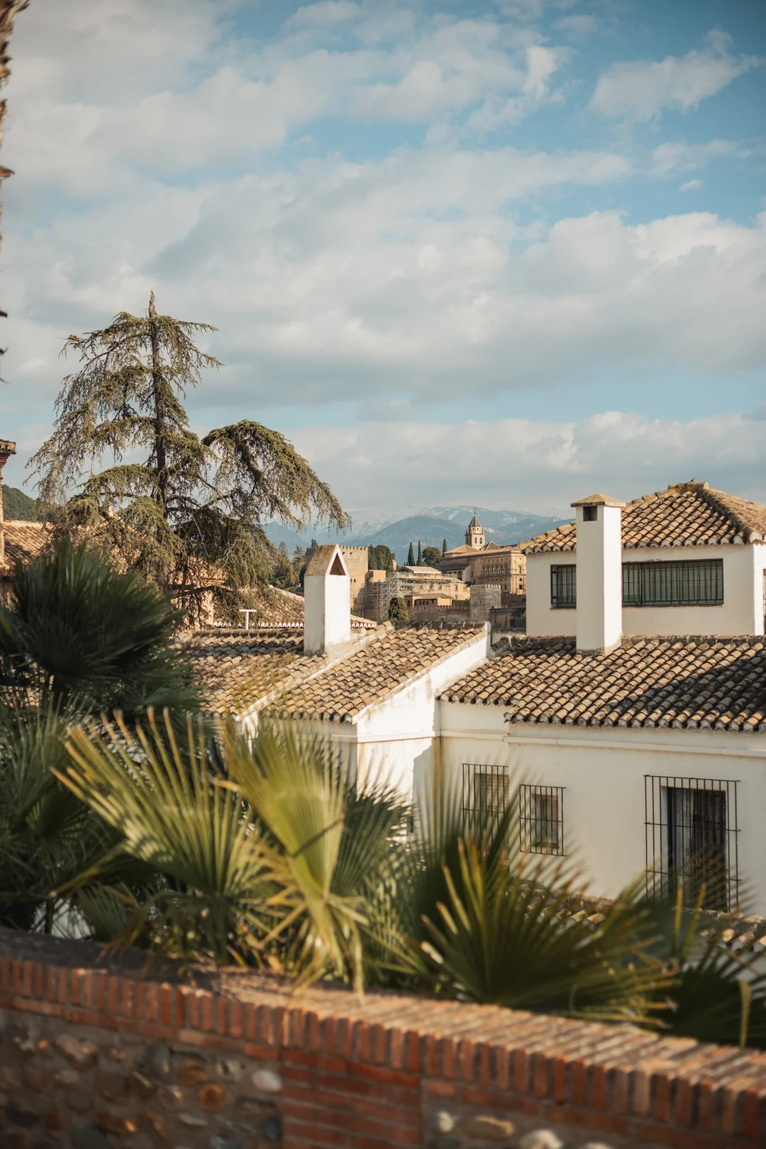 A breathtaking rooftop view from the Albaicín — white-walled Granada houses with terracotta rooftops spread below, palm trees swaying in the breeze, and the iconic Alhambra fortress crowning the hillside beyond.